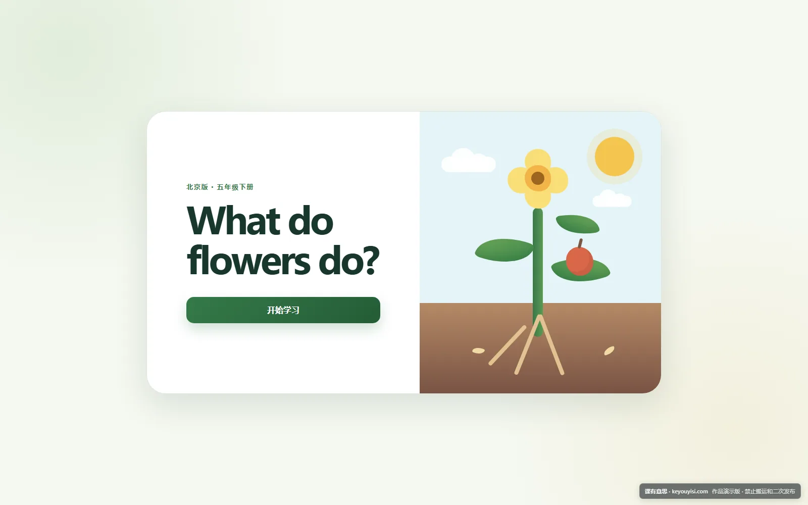 What do flowers do?电脑端首页界面